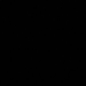 Meet your Posher, Guy